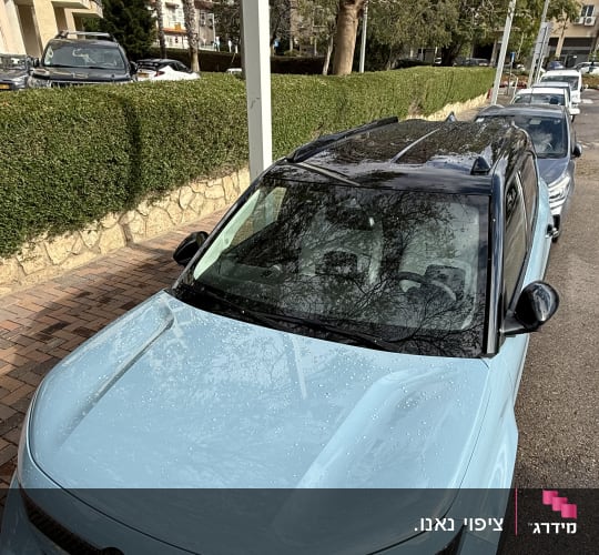 מכונית כחולה חונה ברחוב ליד גדר ירוקה